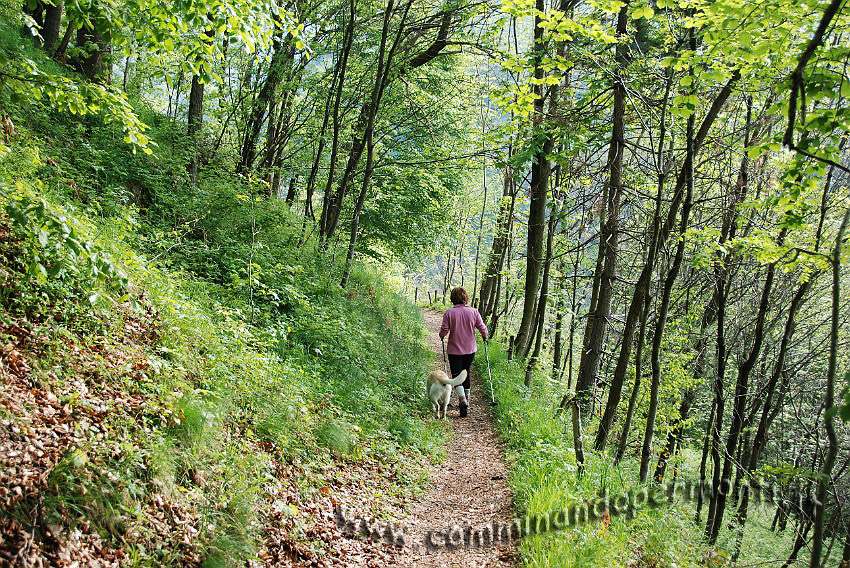 09 03571 Scendiamo da Zambla bassa verso il Torrente Parina.JPG